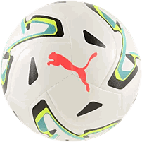Puma Stellar Goal Basic